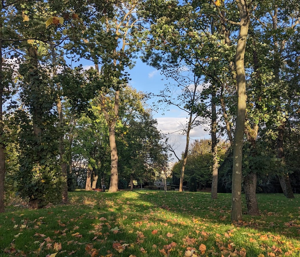 Parc André-Malraux 1